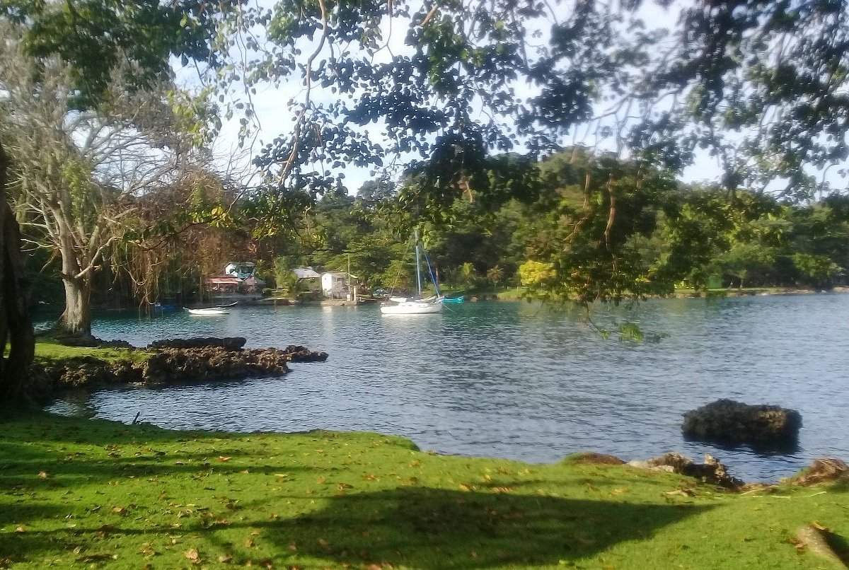 Clear, calm bay water rich with marine life